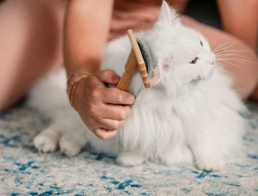 Zefiro Cat Brush