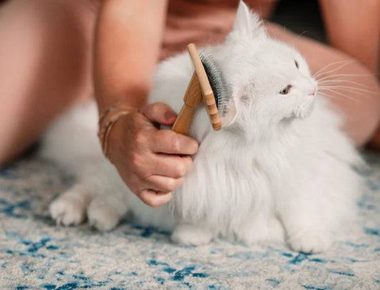 Zefiro Cat Brush