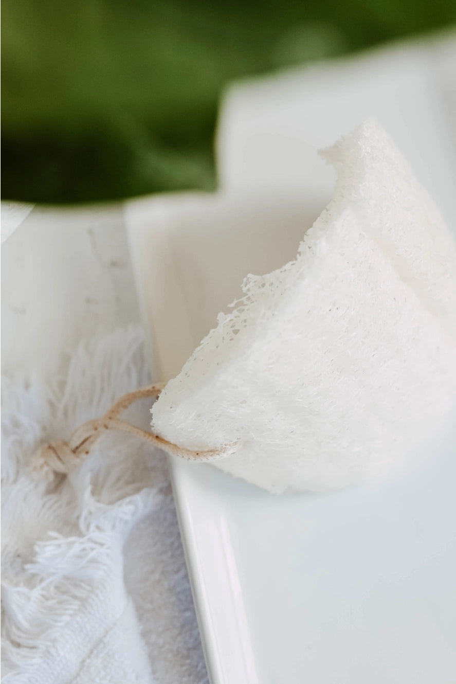 Biodegradable Sponges- 2 pack