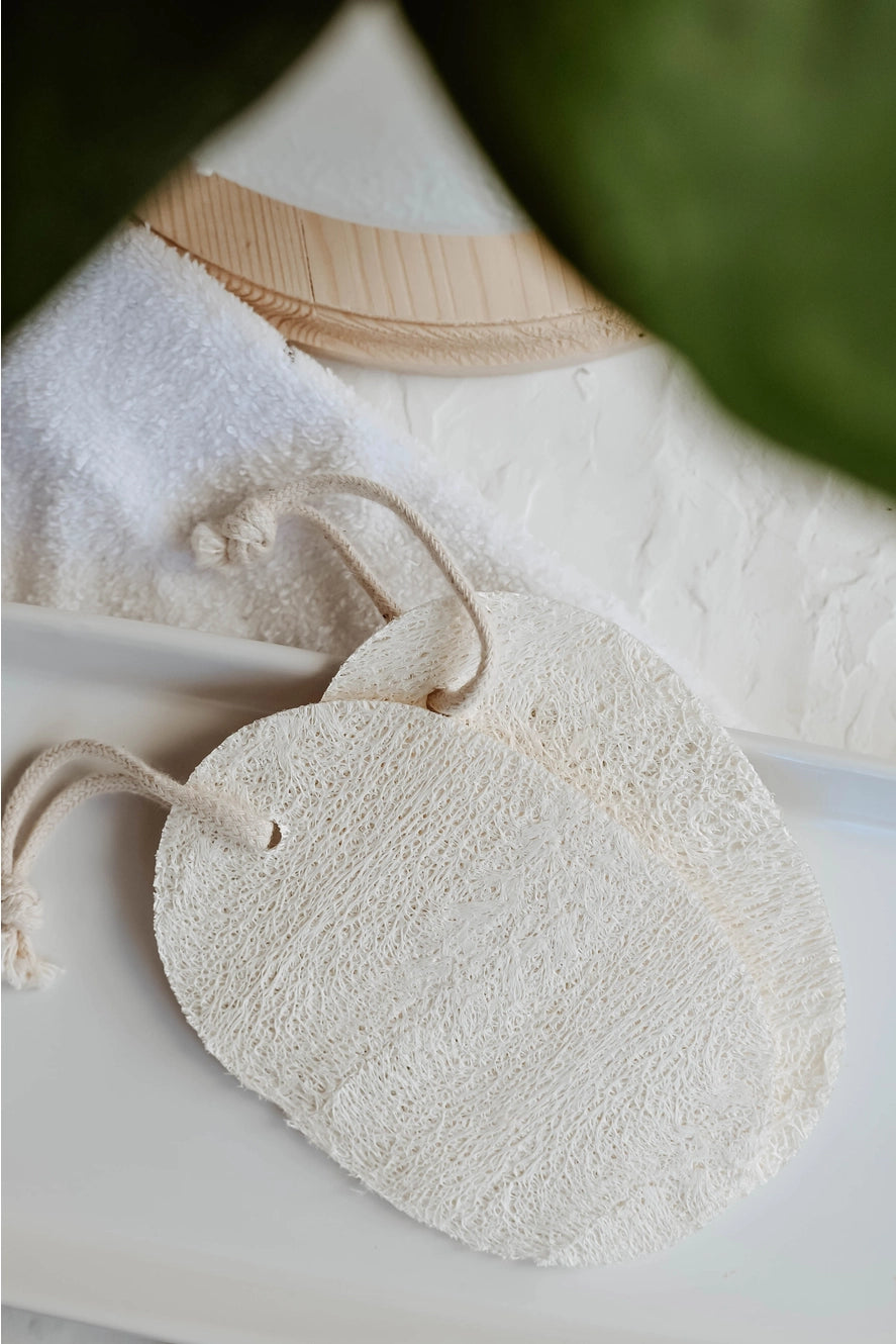 Biodegradable Sponges- 2 pack