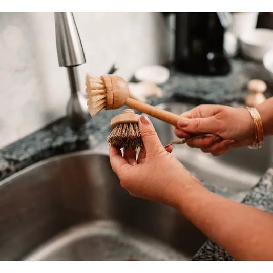 Bamboo Long Handle Dish Brush